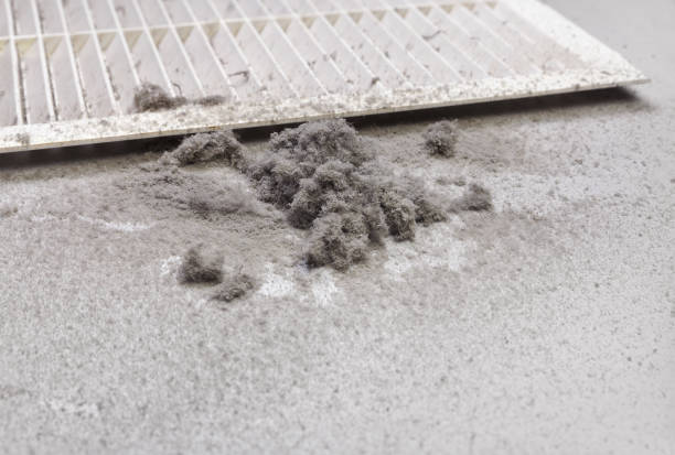 Best Local Air Duct Cleaning Services  in Browns Point, WA